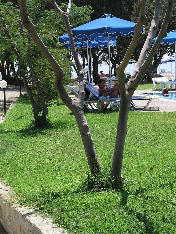 Stafilia Beach Hotel Lardos Room photo